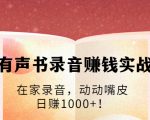 有声书录音赚钱实战:在家录音,动动嘴皮,日赚1000+!-水滴知识网