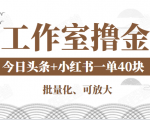 工作室撸金二件套:撸今日头条原创收益+小红书一单利润40块项目-水滴知识网
