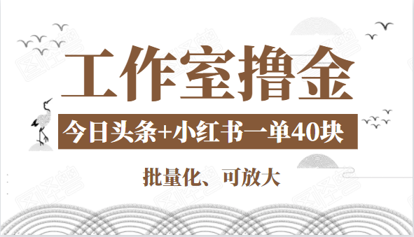 工作室撸金二件套：撸今日头条原创收益+小红书一单利润40块项目-水滴知识网