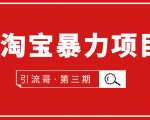 引流哥·第3期淘宝暴力项目:每天10-30分钟的空闲时间,有淘宝号,会玩淘宝-水滴知识网