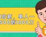 Paypal拉新赚美刀项目,单人一天利润500-1000刀【视频课程】-水滴知识网
