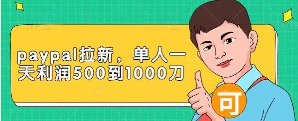 Paypal拉新赚美刀项目，单人一天利润500-1000刀【视频课程】-水滴知识网