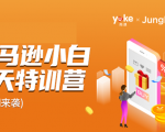 雨课·亚马逊小白特训营第9期 跨境电商挺赚钱的 有朋友已经月入几十万美金-水滴知识网