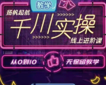 官网售价3980元的数据哥-千川实操进阶课【进阶版】 非基础版-水滴知识网