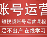 短视频账号运营课程：从话术到短视频运营再到直播带货全流程，新人快速入门-水滴知识网