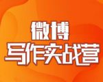村西边老王·微博超级写作实战营,帮助你粉丝猛涨价值999元-水滴知识网