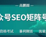 高鹏圈公众号SEO矩阵号群,实操20天纯收益25000+,普通人都能做-水滴知识网
