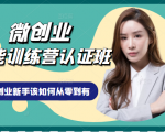 微创业全能训练营认证班课程,从理论知识与实际案例手把手指导创业新手如何从零到有-水滴知识网