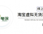 龟课·淘宝虚拟无货源电商5期,全程直播 现场实操,一步步教你轻松实现躺赚-水滴知识网