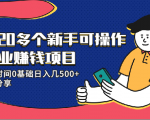 20多个新手可操作的副业赚钱项目:业余时间0基础日入几500+实操分享-水滴知识网