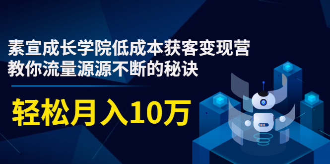 素宣成长学院低成本获客变现营,教你流量源源不断的秘诀,轻松月入10万-水滴知识网