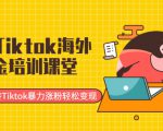 最新Tiktok海外掘金培训课堂：带你玩转Tiktok暴力涨粉轻松变现-水滴知识网