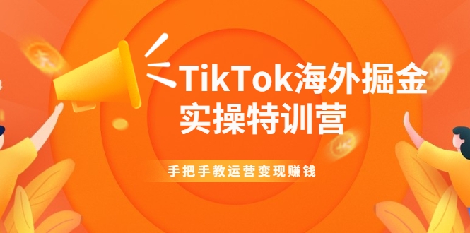TikTok海外掘金实操特训营：手把手教运营变现赚钱-水滴知识网