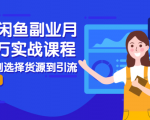 2021闲鱼副业月入过万实战课程:从开店到选择货源到引流,全程实战教学-水滴知识网