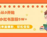 生财小红书涨粉变现:新账号从0开始3个月小红书涨粉5W+实现单篇爆粉-水滴知识网