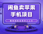闲鱼卖苹果手机项目,教你闲鱼卖货月入上万-水滴知识网