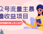 公众号流量主暴利撸收益项目,空闲时间操作单人月入过万-水滴知识网