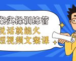 文案实操训练营，只说话就能火的短视频文案课-水滴知识网