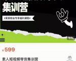 夜草与千里马素人短视频带货集训营,薛辉团队价值599-水滴知识网