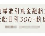 1套精准引流金融粉方法,轻松日引300+粉丝-水滴知识网