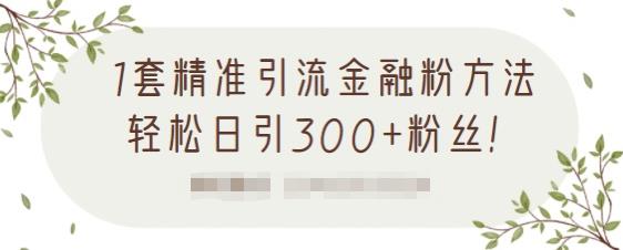 1套精准引流金融粉方法,轻松日引300+粉丝-水滴知识网