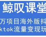 鲸叹号·海外TIKTOK训练营,百万项目海外版抖音tiktok流量变现玩法-水滴知识网