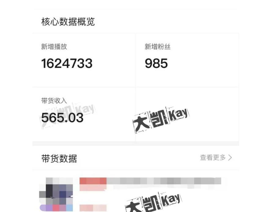 大凯进阶圈新玩法之拼多多视频玩法,利润大概一个号一天能有500~1500的左右!-水滴知识网