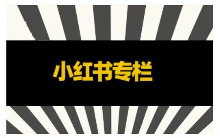 品牌医生·小红书全链营销干货,5个起盘案例,7个内容方向,n条避坑指南-水滴知识网