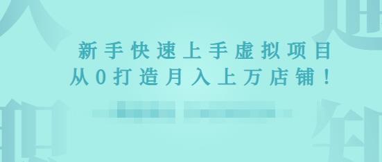 2022年虚拟项目实战指南,新手从0打造月入上万店铺-水滴知识网