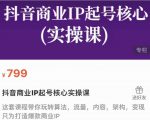 抖音商业IP起号核心实操课,带你玩转算法,流量,内容,架构,变现-水滴知识网