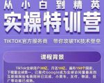 Seven漆·2022Tiktok从小白到精英实操特训营，带你掌握Tiktok账号运营-水滴知识网
