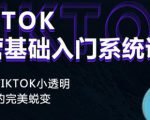 Tiktok实操进阶课程,体验从tiktok小透明到大佬的完美蜕变-水滴知识网