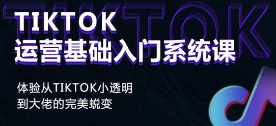 Tiktok实操进阶课程,体验从tiktok小透明到大佬的完美蜕变-水滴知识网