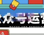 零零已久·从0-1运营公众号,零基础小白也能上手,系统性了解公众号运营-水滴知识网