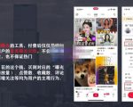 麦子互娱短视频带货·0基础做好物分享账号，无需出镜无需货源无需拍摄-水滴知识网