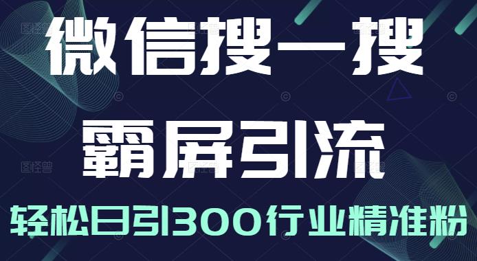 微信搜一搜霸屏引流课，打造被动精准引流系统，轻松日引300行业精准粉-水滴知识网