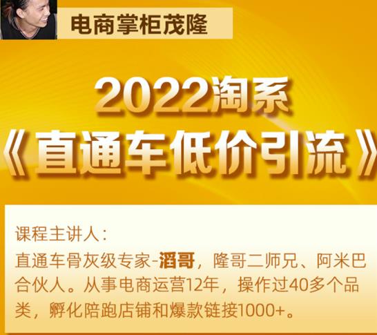 茂隆2022直通车低价引流玩法,教大家如何低投入高回报的直通车玩法-水滴知识网