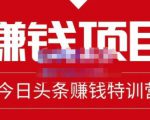 懒人领域·今日头条项目玩法,头条中视频项目,单号收益在50—500可批量-水滴知识网