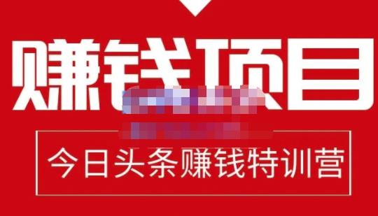 懒人领域·今日头条项目玩法,头条中视频项目,单号收益在50—500可批量-水滴知识网