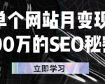 单个网站月变现100万的SEO秘密,百分百做出赚钱站点-水滴知识网