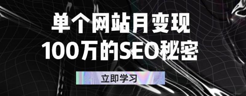 单个网站月变现100万的SEO秘密,百分百做出赚钱站点-水滴知识网
