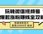 玩转微信视频号爆款涨粉赚钱全攻略，快速涨粉百万变现万元秘诀-水滴知识网