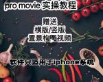 漆十二美食摄影,25节promovie实操高手课节-水滴知识网