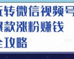 玩转微信视频号爆款涨粉赚钱全攻略,让你快速抓住流量风口,收获红利财富-水滴知识网