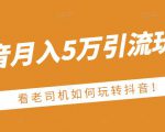 老古董·抖音月入5万引流玩法，看看老司机如何玩转抖音(附赠：抖音另类引流思路)-水滴知识网