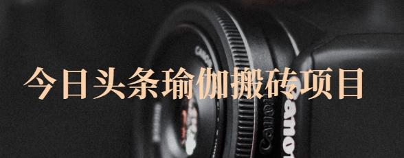 猎人社区·今日头条瑜伽搬砖项目，单号一天几十收入，可以批量操作！-水滴知识网