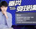 张sir·垂类变现课,抖音带货新手才看粉丝量,高手都看变现效率-水滴知识网