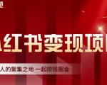 渣圈学苑·小红书虚拟资源变现项目,一起捞钱掘金价值1099元-水滴知识网