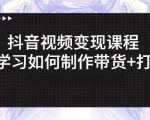 抖音短视频变现课程:带你学习如何制作带货+打造IP【41节】-水滴知识网