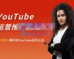 外国人眼中的YouTube该怎么玩?Elisa·YouTube运营推广实战技巧-水滴知识网
